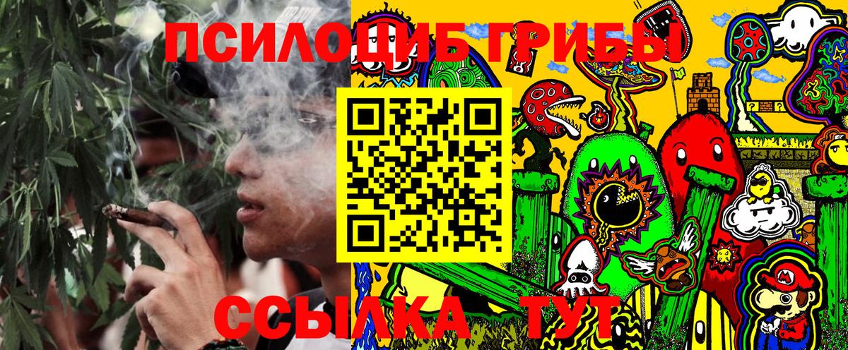 Красноярск  Галлюциногенные грибы Psilocybine cubensis  хочу   Вход с VPN 