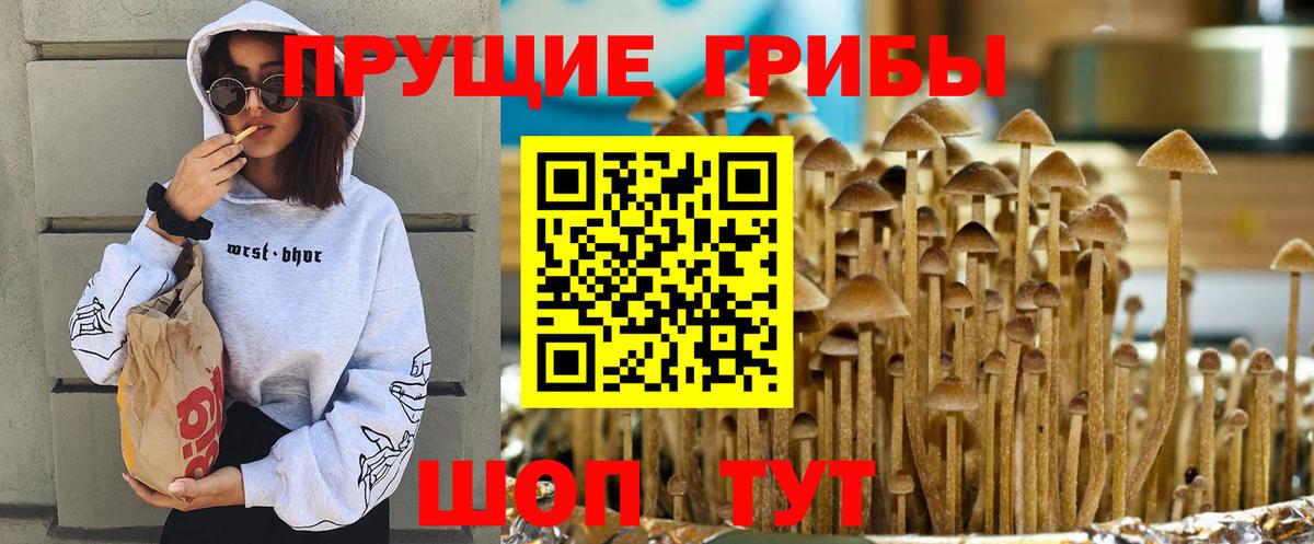 Псилоцибиновые грибы GOLDEN TEACHER Красноярск